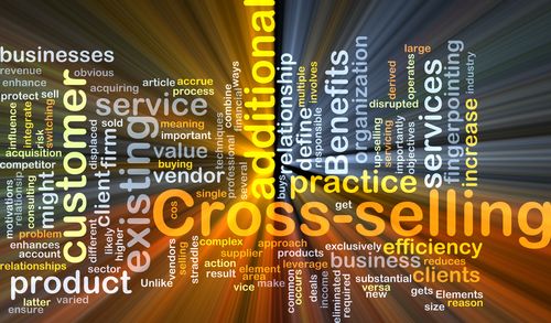 Developing a Company Cross Selling Campaign